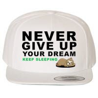 Never Give Up Your Dream Keep Sleeping Funny Sloth Wool Snapback Cap