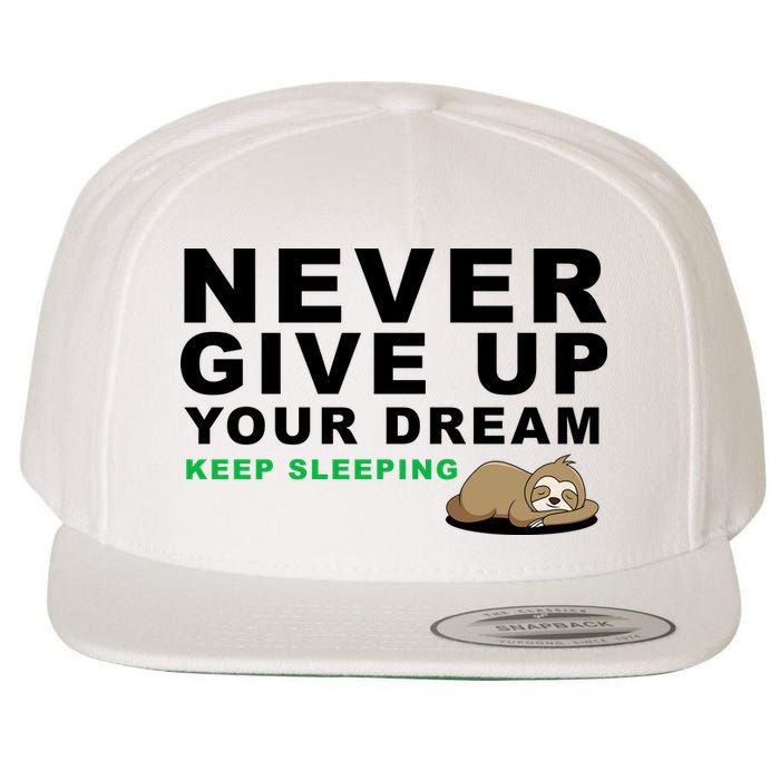 Never Give Up Your Dream Keep Sleeping Funny Sloth Wool Snapback Cap
