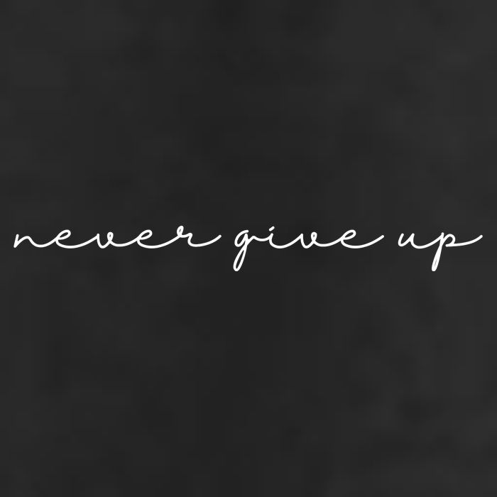 Never Give Up 7 Panel Mesh Trucker Snapback Hat
