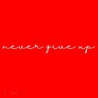Never Give Up Womens T-Shirt