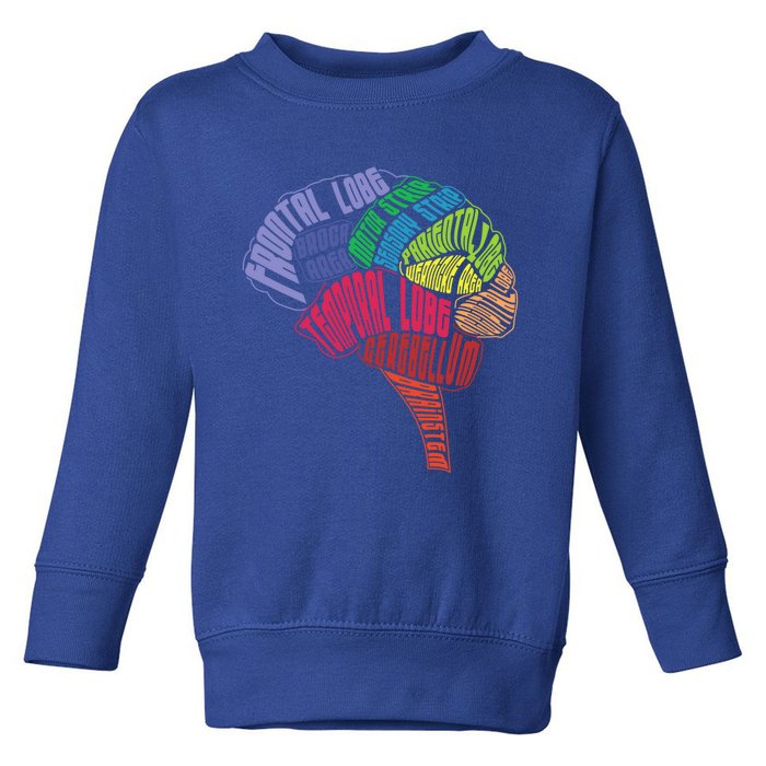 Neurology Hu Brain Anatomy Neurologists Brain Doctor Gift Toddler Sweatshirt