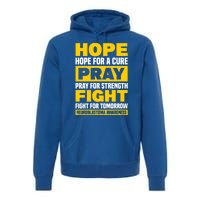 Neuroblastom Hope For Healing Prayers For Strength Gift Premium Hoodie