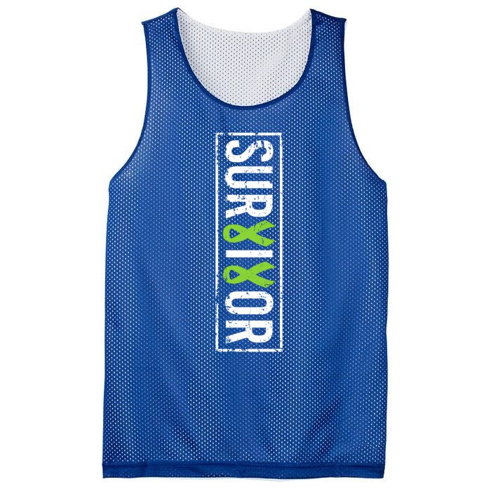 Non Hodgkins Lymphoma Cancer Survivor Cute Gift Vertical Ribbon Meaningful Gift Mesh Reversible Basketball Jersey Tank