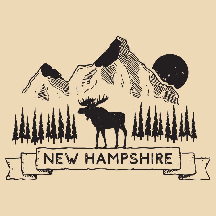 New Hampshire Mountain Moose Cool New Hampshire Gift Zip Tote Bag