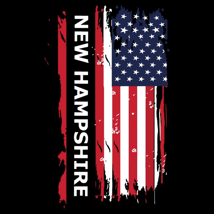New Hampshire City Backpack