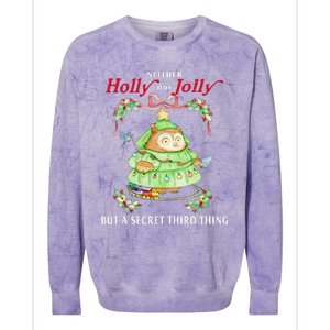 Neither Holly Nor Jolly But A Secret Third Thing Funny Bird Colorblast Crewneck Sweatshirt