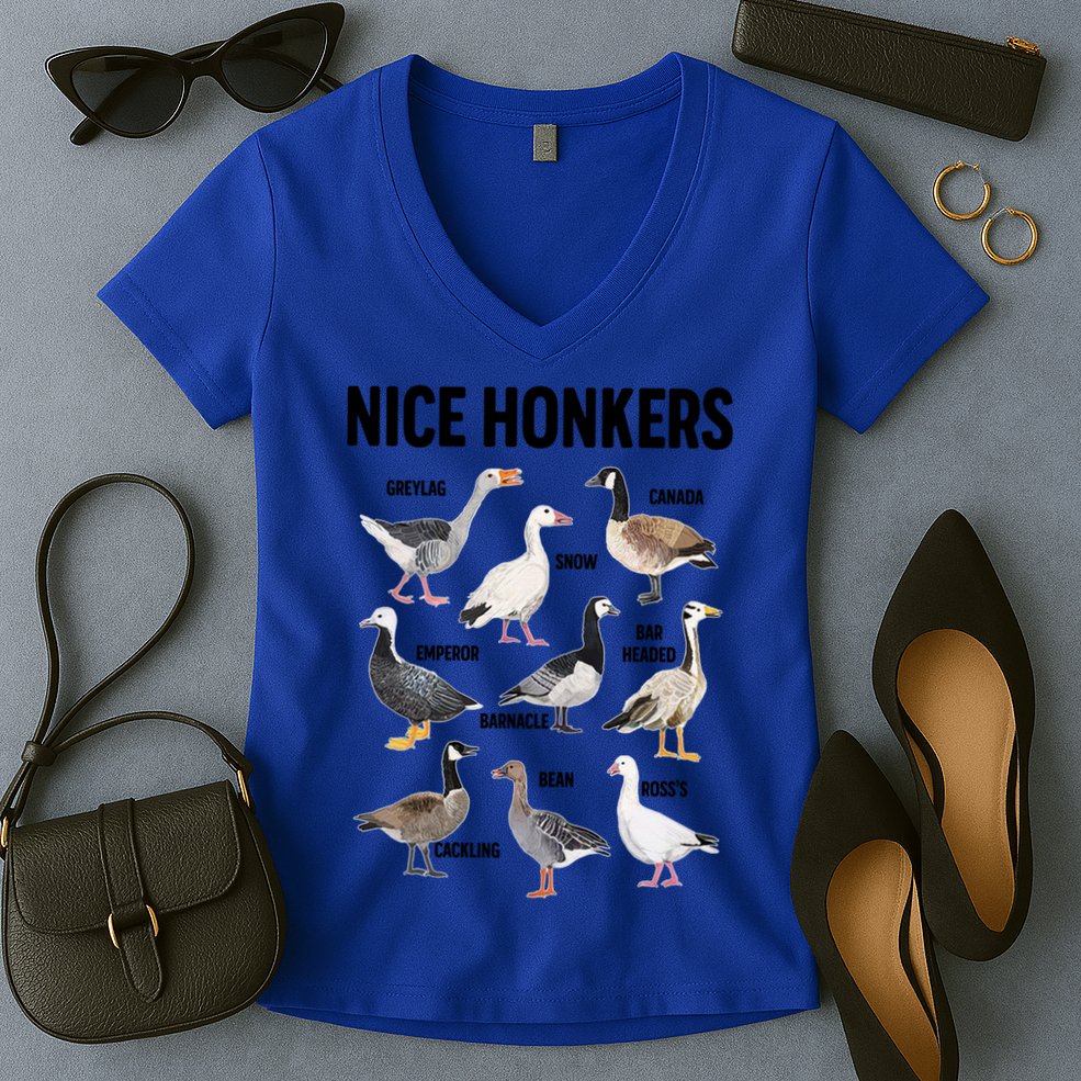 Nice Honker Pun Adult Joke Funny Bird Lover Birdwatcher Gift Women's V-Neck T-Shirt