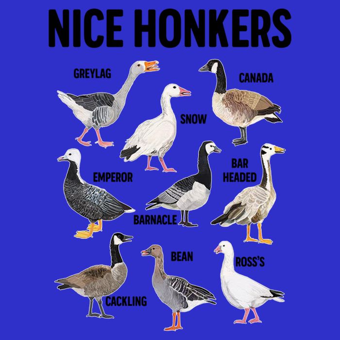 Nice Honker Pun Adult Joke Funny Bird Lover Birdwatcher Gift Zip Tote Bag
