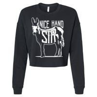 Nice Hand Sir Donkey Poker Funny Gambling Design Cropped Pullover Crew