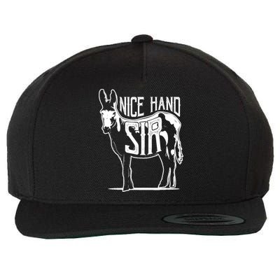Nice Hand Sir Donkey Poker Funny Gambling Design Wool Snapback Cap