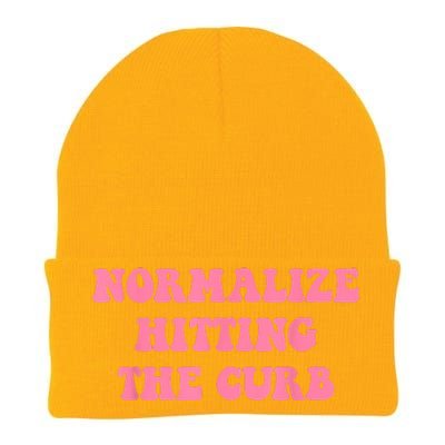 Normalize Hitting The Curb Funny Apparel Knit Cap Winter Beanie