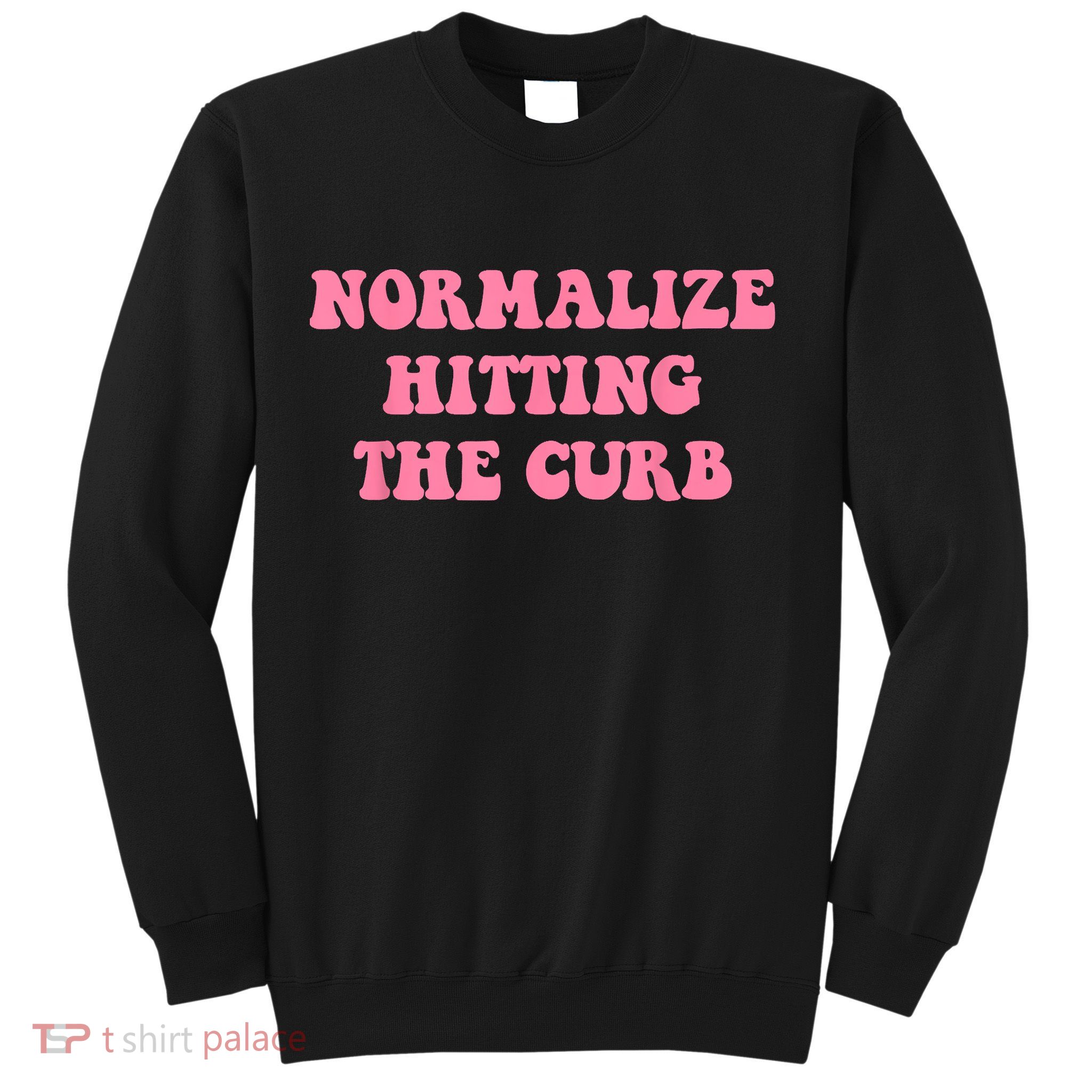 Normalize Hitting The Curb Funny Apparel Sweatshirt
