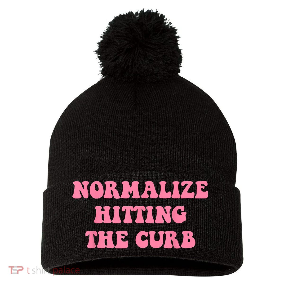 Normalize Hitting The Curb Funny Apparel Pom Pom 12in Knit Beanie