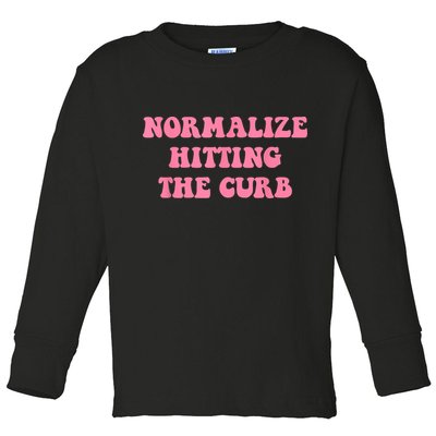 Normalize Hitting The Curb Funny Apparel Toddler Long Sleeve Shirt