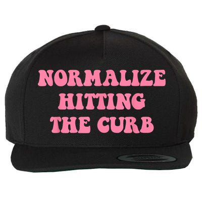 Normalize Hitting The Curb Funny Apparel Wool Snapback Cap