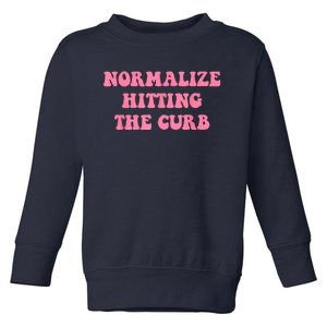 Normalize Hitting The Curb Funny Apparel Toddler Sweatshirt