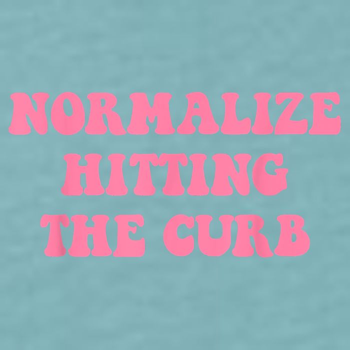 Normalize Hitting The Curb Funny Apparel Sueded Cloud Jersey T-Shirt
