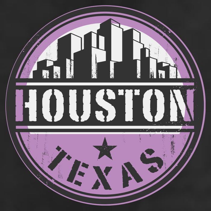Neon Houston Texas Logo 11oz C Handle Ceramic Mug