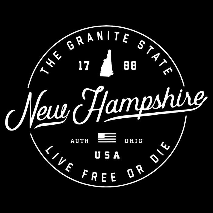 New Hampshire Us State Travel Vacation Shirts Nh Us V-Neck T-Shirt