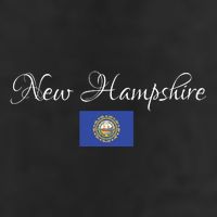 New Hampshire Usa 7 Panel Mesh Trucker Snapback Hat