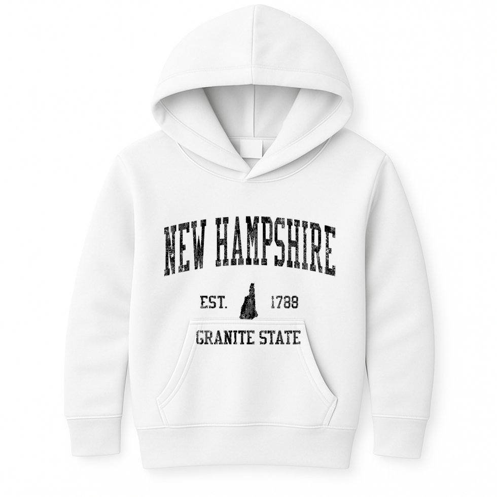 New Hampshire Vintage Established Sports Design Kids Hoodie