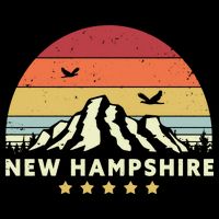 New Hampshire Vintage Kids Hoodie