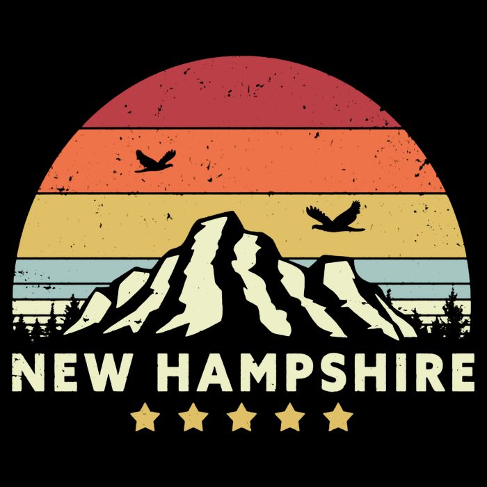 New Hampshire Vintage Kids Hoodie