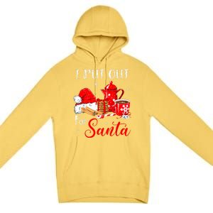 Naughty I Always Put Out For Santa Christmas Xmas Premium Pullover Hoodie