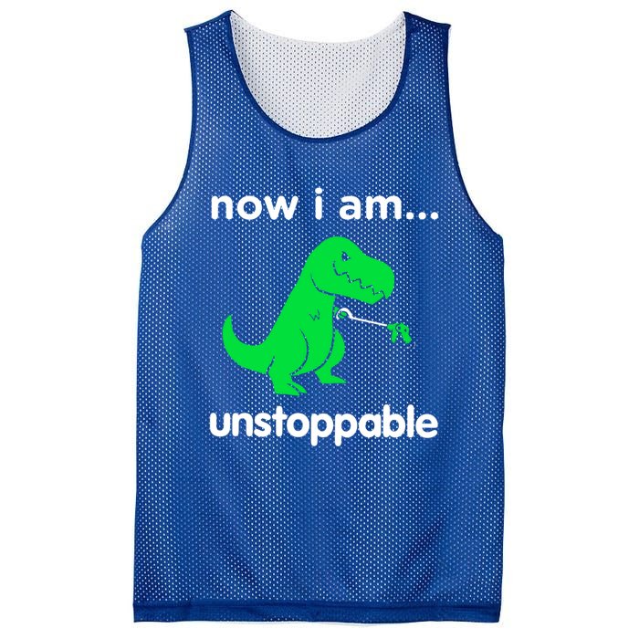 Now I Am Unstoppable Trex Funny Grabber Dinosaur Claws Gift Mesh Reversible Basketball Jersey Tank