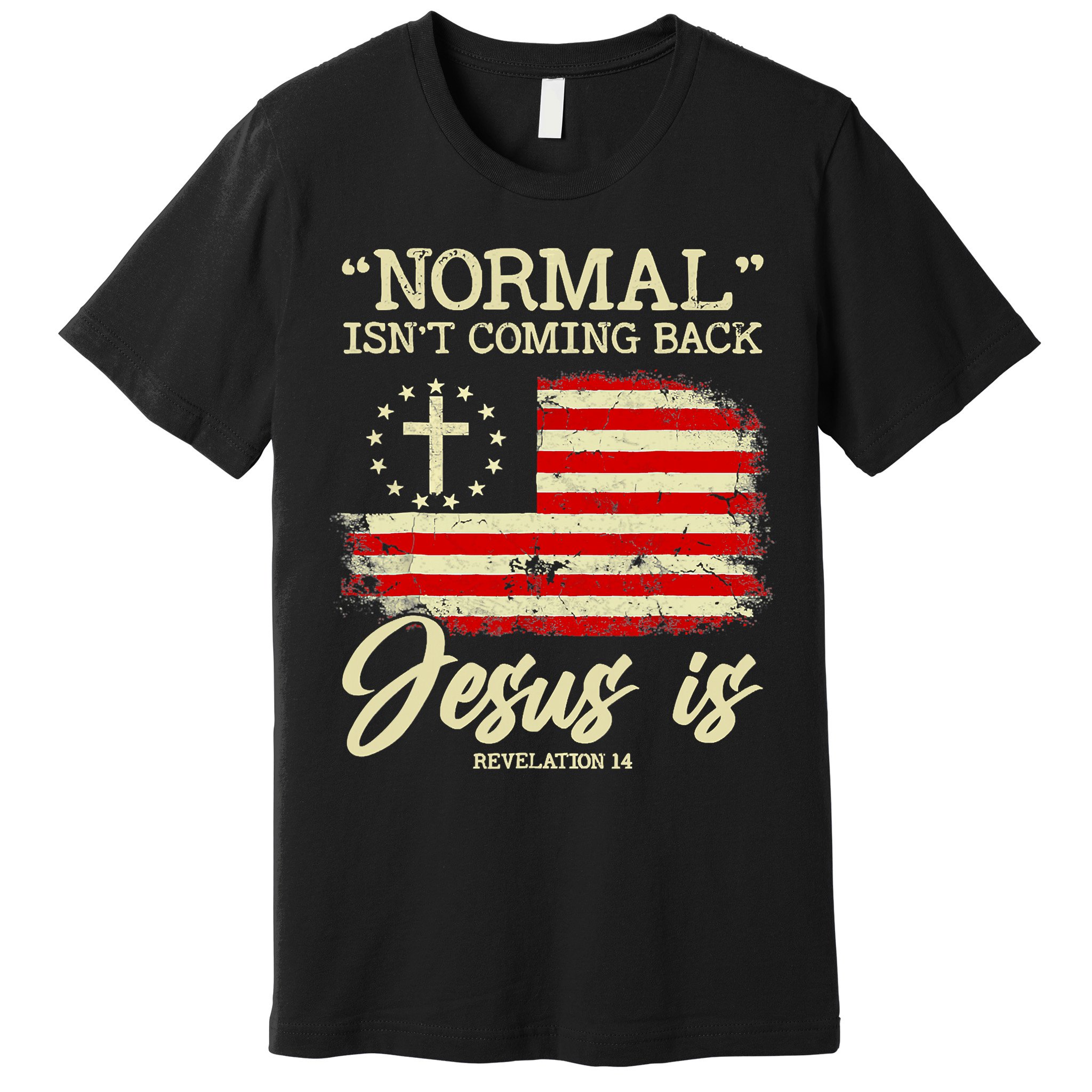 Normal Isn't Coming Back But Jesus Is Revelation 14 Costume Premium T-Shirt