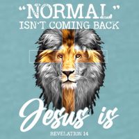 Normal Isn't Coming Back But Jesus Is Cross Christian Sueded Cloud Jersey T-Shirt