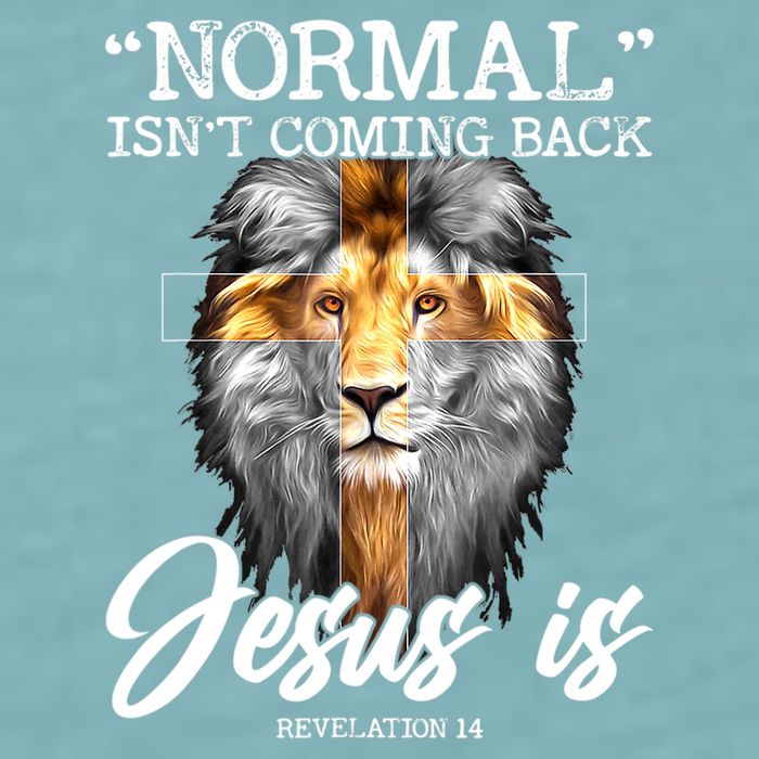 Normal Isn't Coming Back But Jesus Is Cross Christian Sueded Cloud Jersey T-Shirt