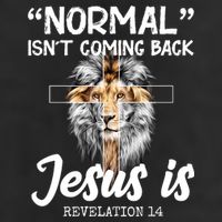 Normal Isn't Coming Back Jesus Is Revelations 14 15oz Campfire Ceramic Mug