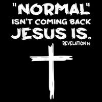 Normal Isnt Coming Back Jesus Is Women's V-Neck T-Shirt