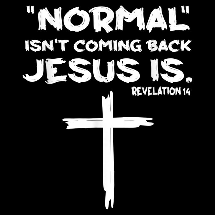 Normal Isnt Coming Back Jesus Is Women's V-Neck T-Shirt