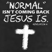 Normal Isnt Coming Back Jesus Is Adult Drive Performance Visor