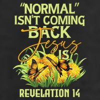 Normal Isnt Coming Back Jesus Is 15oz Campfire Ceramic Mug