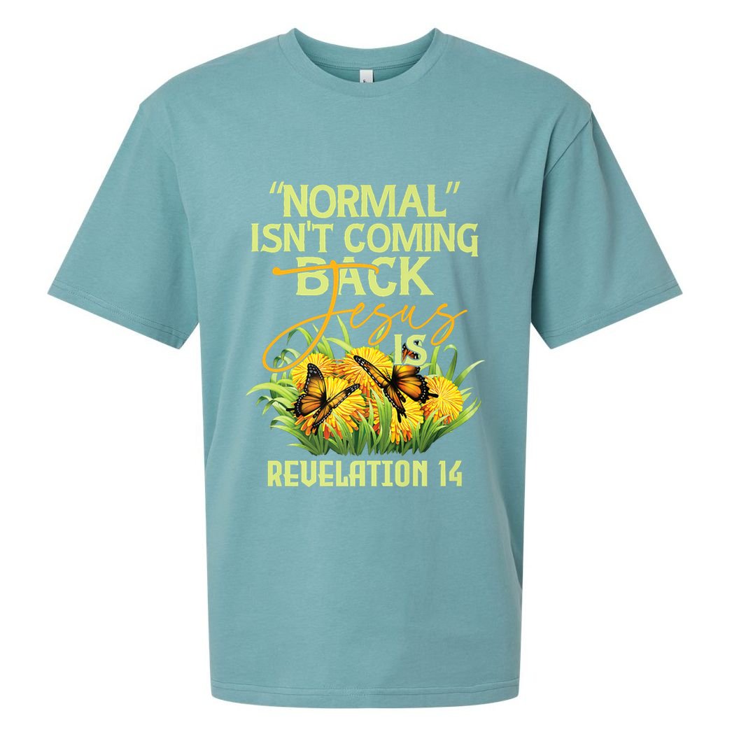 Normal Isnt Coming Back Jesus Is Sueded Cloud Jersey T-Shirt