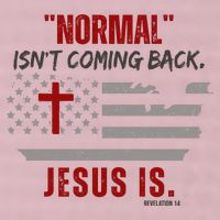Normal Isnt Coming Back Jesus Is American Flag Cross 25L Jumbo Tote