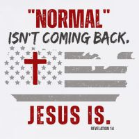 Normal Isnt Coming Back Jesus Is American Flag Cross Youth Performance Sprint T-Shirt