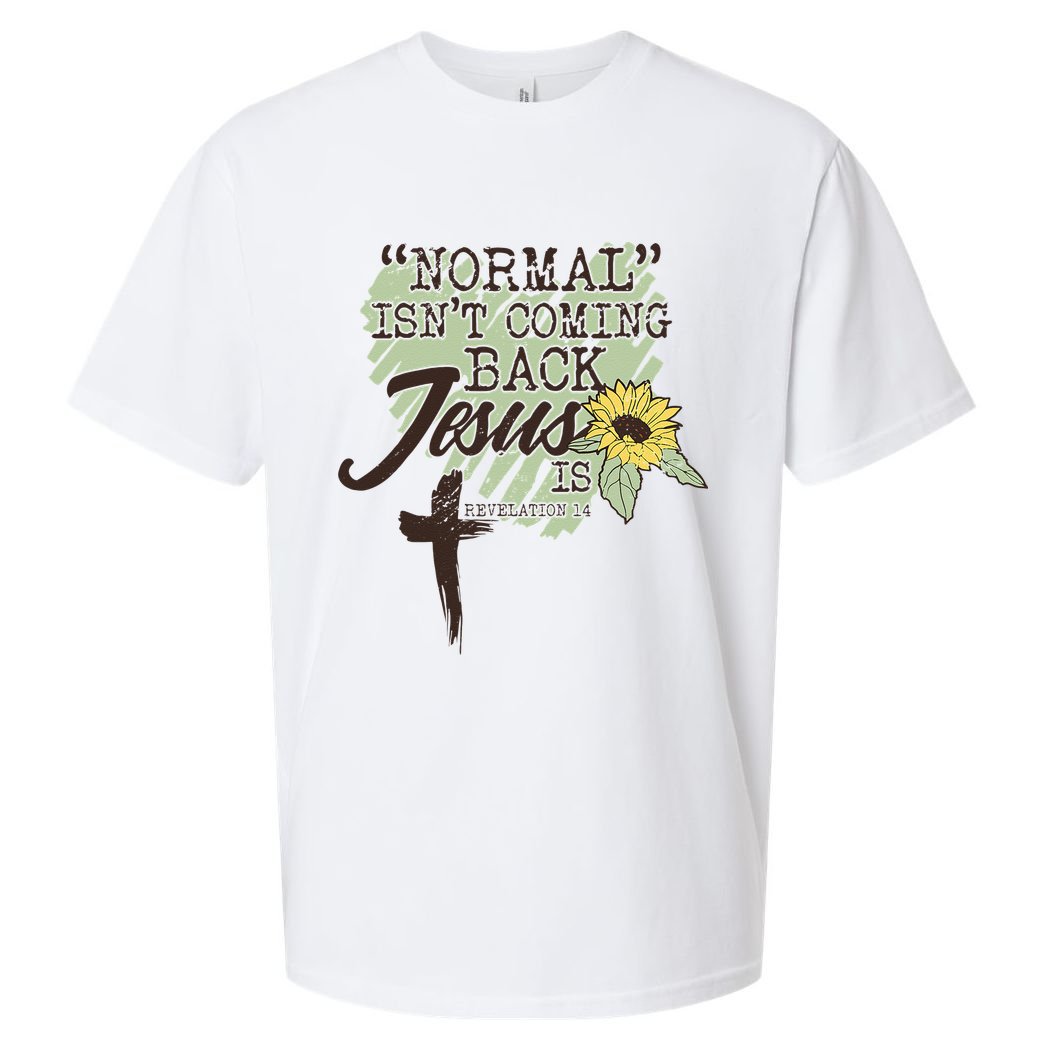 Normal Isnt Coming Back Jesus Is Sueded Cloud Jersey T-Shirt