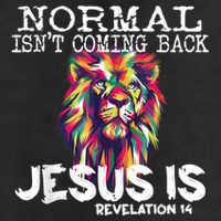 Normal Isnt Coming Back Jesus Is Cool Comfort Performance Bucket Hat