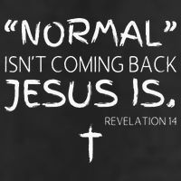Normal Isnt Coming Back Jesus Is 15oz Campfire Ceramic Mug
