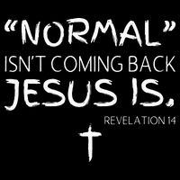 Normal Isnt Coming Back Jesus Is 16 in Basic Backpack