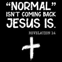 Normal Isn't Coming Back Jesus Is Revelation 14 Cooling Performance Crew T-Shirt