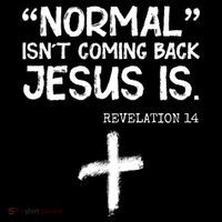 Normal Isn't Coming Back Jesus Is Revelation 14 Pom Pom 12in Knit Beanie