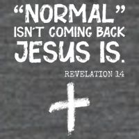 Normal Isn't Coming Back Jesus Is Revelation 14 Magnet