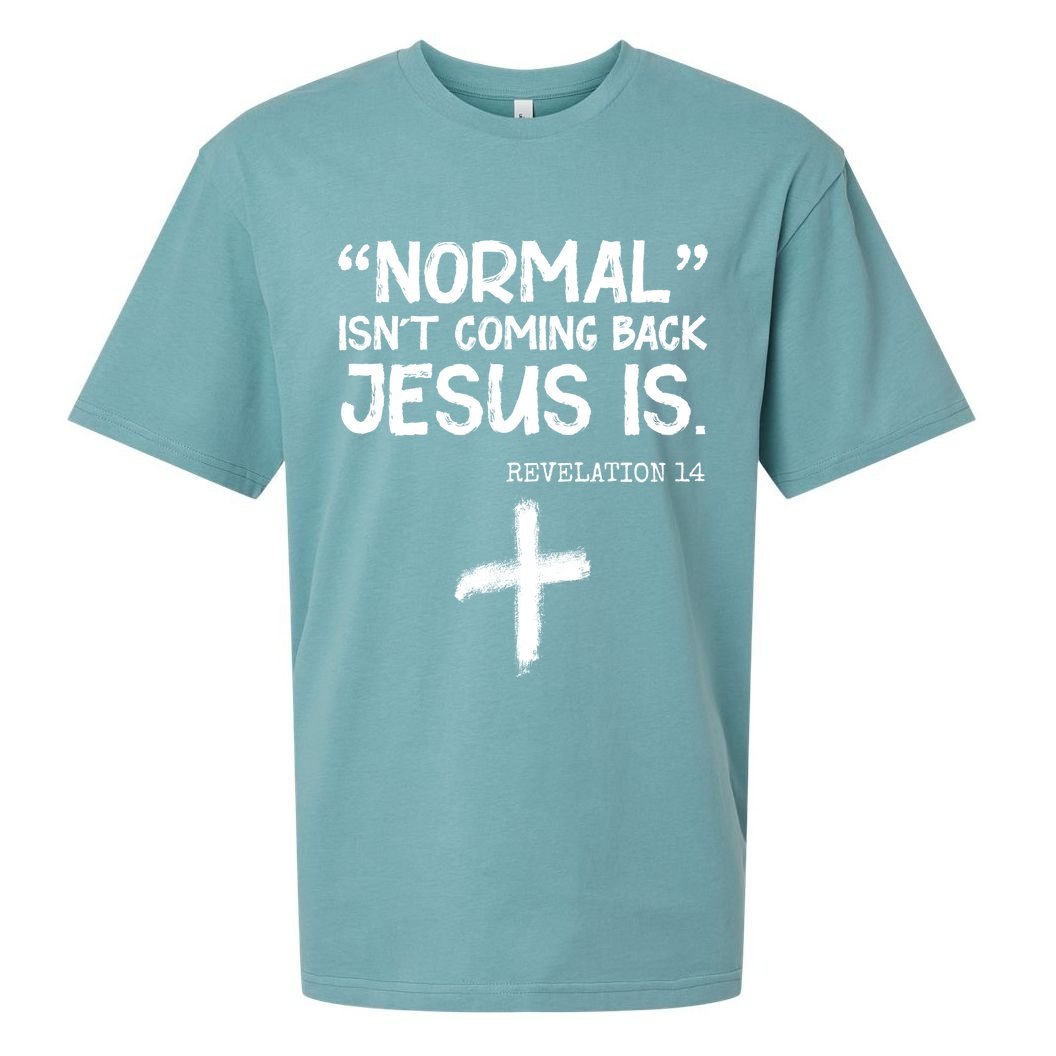 Normal Isn't Coming Back Jesus Is Revelation 14 Sueded Cloud Jersey T-Shirt