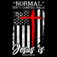 Normal Isn't Coming Back But Jesus Is Revelation 14  Wool Snapback Cap