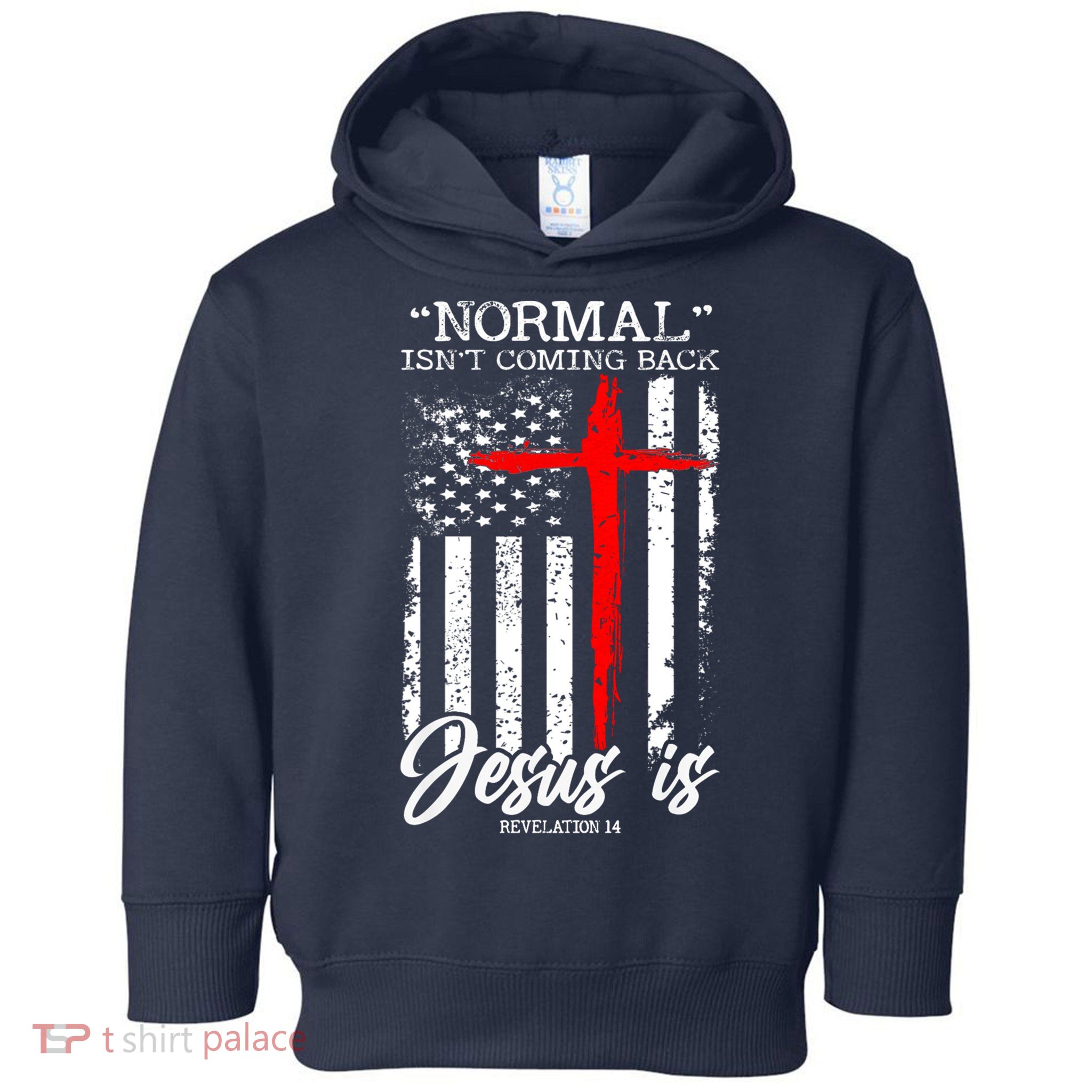 Normal Isn't Coming Back But Jesus Is Revelation 14  Toddler Hoodie